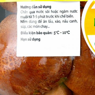 Nấm 8